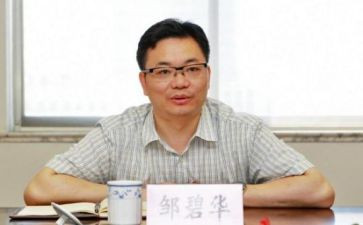 邹碧华电影观后感5篇
