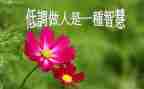 作文与做人作文优质5篇
