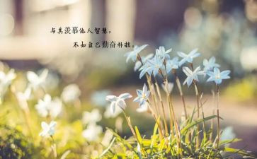 做最好老师的心得体会精选7篇