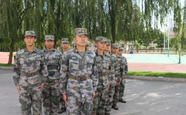 保险组训的工作总结8篇